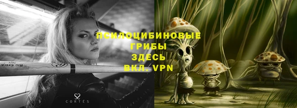 кокс Алзамай