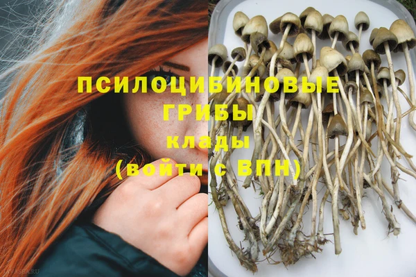 спиды Каменногорск