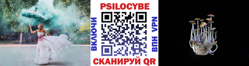 Псилоцибиновые грибы прущие грибы  цены   Грайворон 